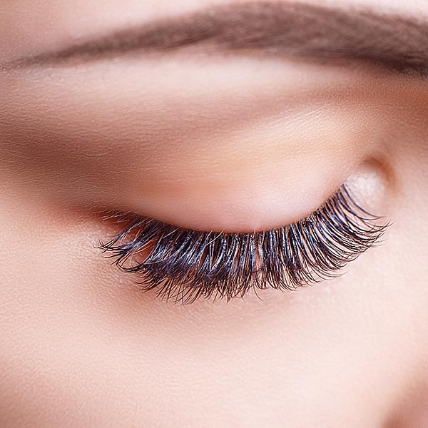 lash (8)
